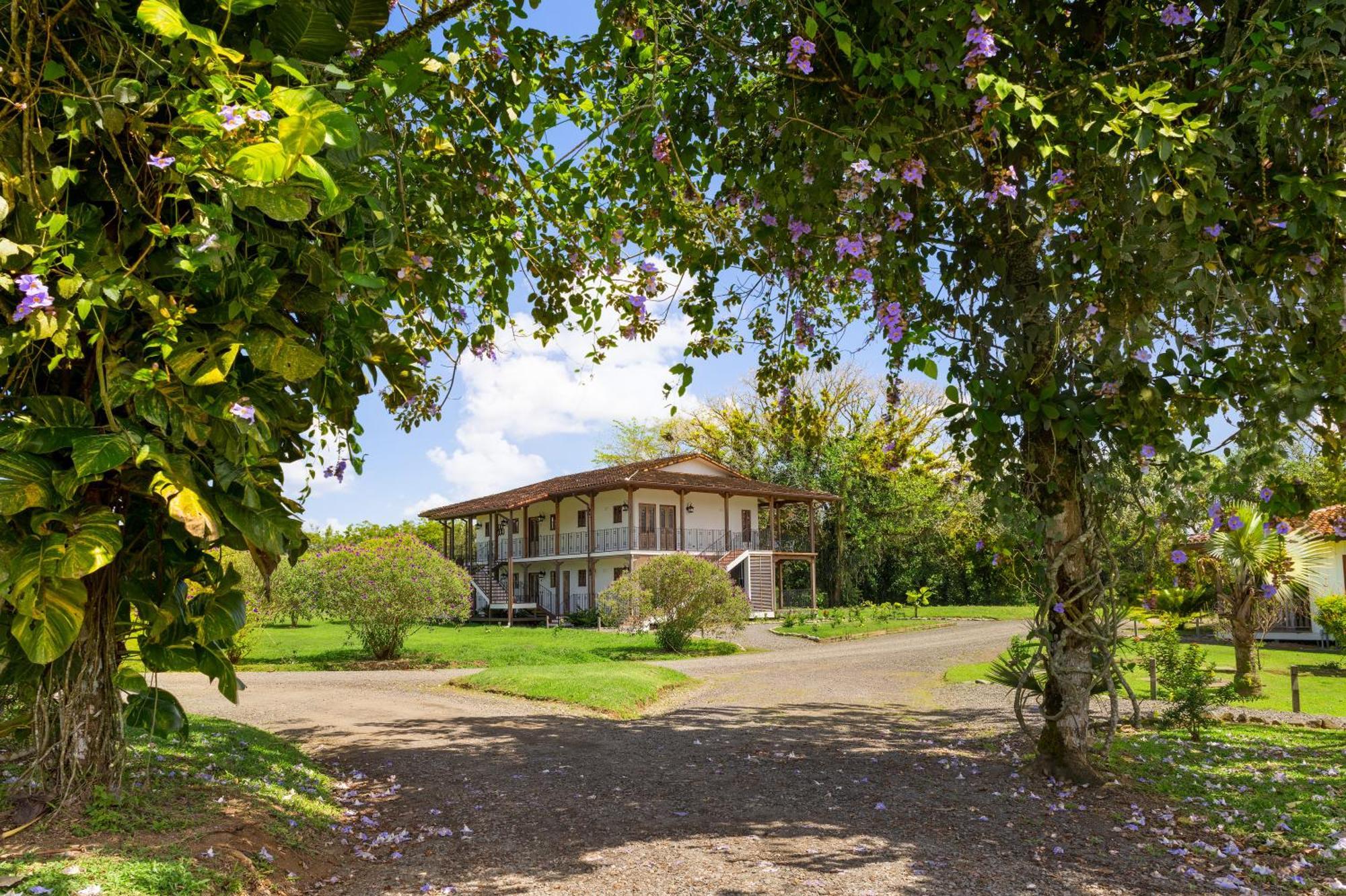 El Lugar Tigre (Heredia) Quarto foto
